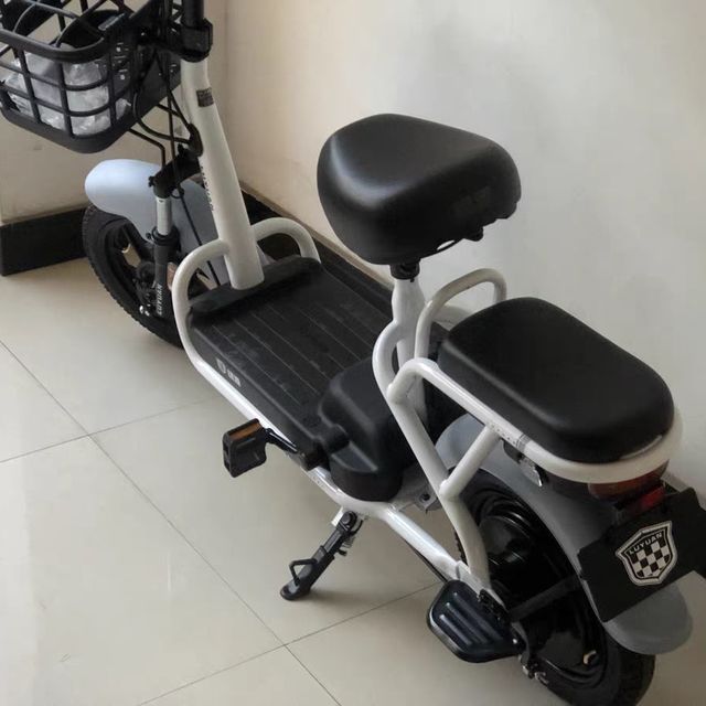 绿源 电动车48v12a新国标电动自行车 通勤代步 买菜带娃电瓶车 小果粒