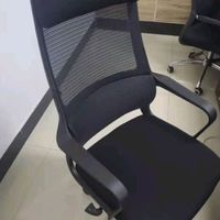 人体工学电脑椅