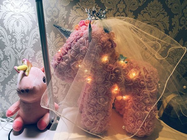 买个有新意还能放的久的礼物