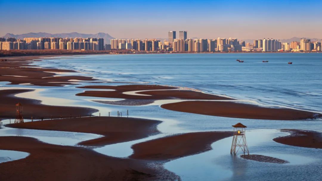 北戴河湿地是亚洲地区唯一的城中湿地.08图虫创意