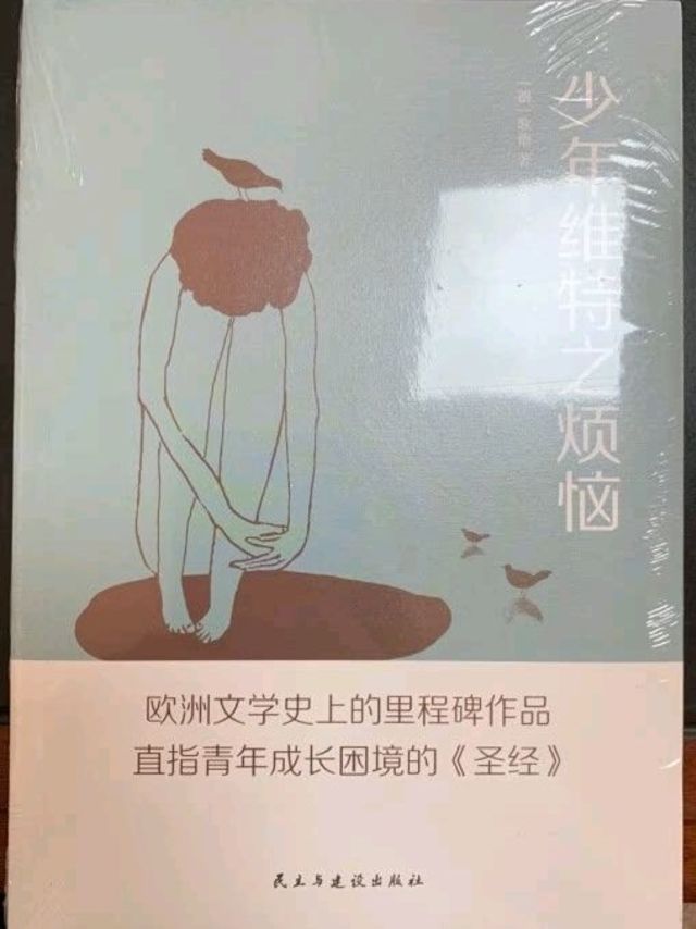 少年维特之烦恼