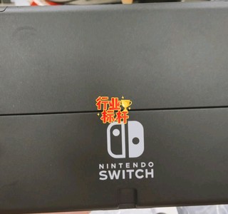 switch还是那么好玩！