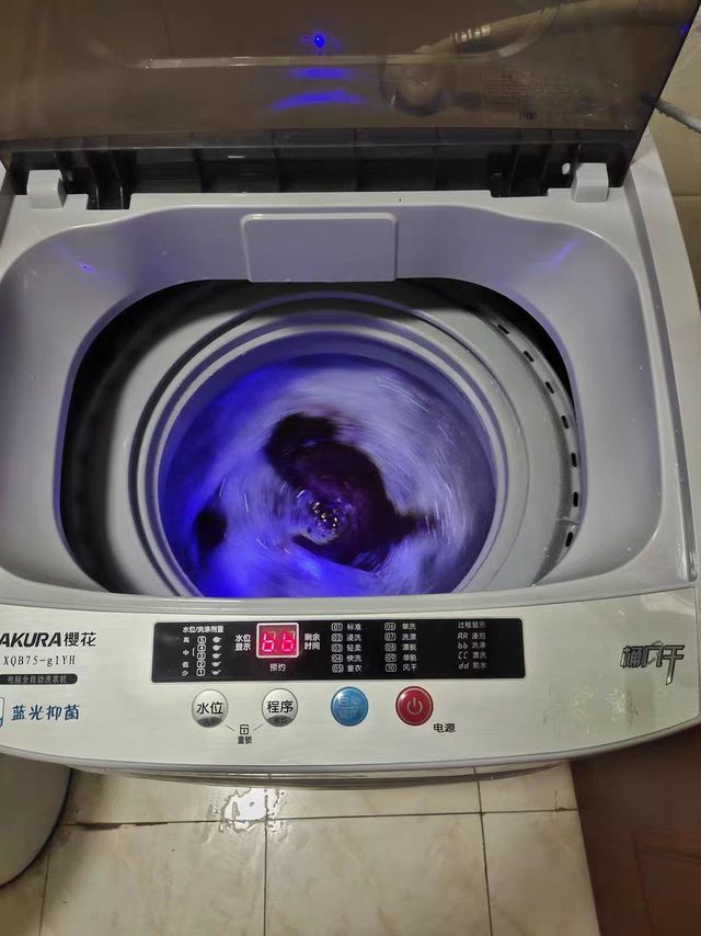 樱花牌洗衣机