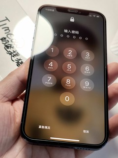 1元购iPhone 12钢化膜 这次值了