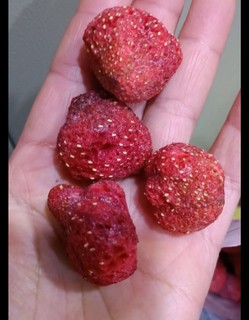 三只松鼠草莓脆果