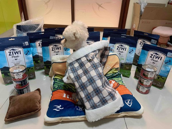 霸道总裁不需要解释