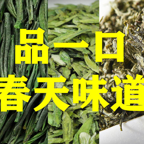 明前春茶，一口吞下春天：十款名优绿茶推荐