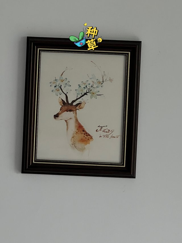白菜价的装饰画，有点不好意思挂