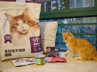 猫咪过年，超大袋猫粮，目测可以干饭半年