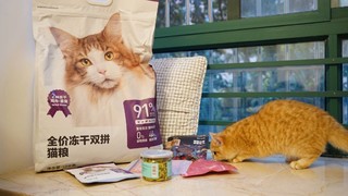 猫咪过年，超大袋猫粮，目测可以干饭半年