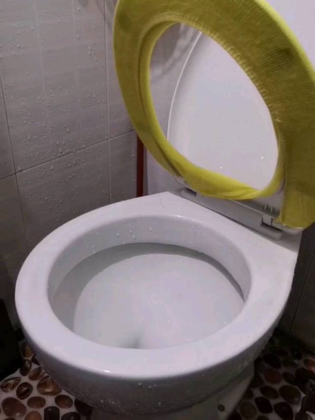 有质感的马桶盖