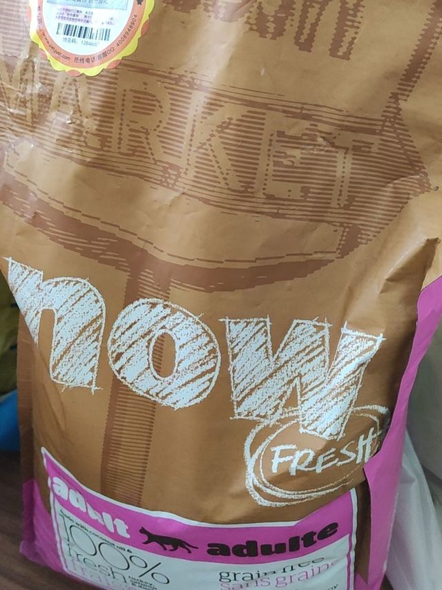now猫粮