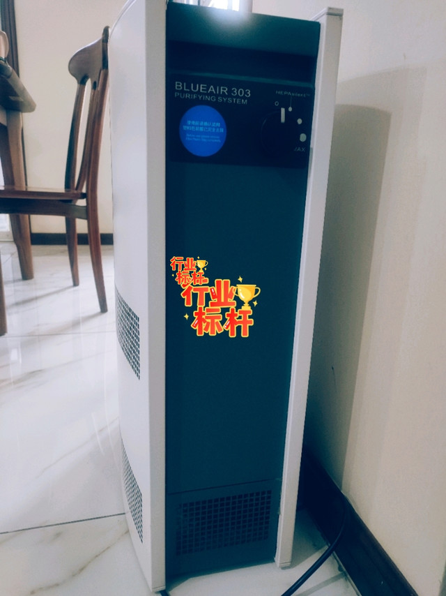 给家里一片大自然的清新