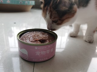 俏蛮腰猫罐头为猫咪加餐营养健康猫咪喜欢