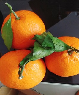 ​柑橘很好吃