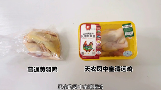 都是黄羽鸡，普通黄羽鸡和凤中皇清远鸡对比