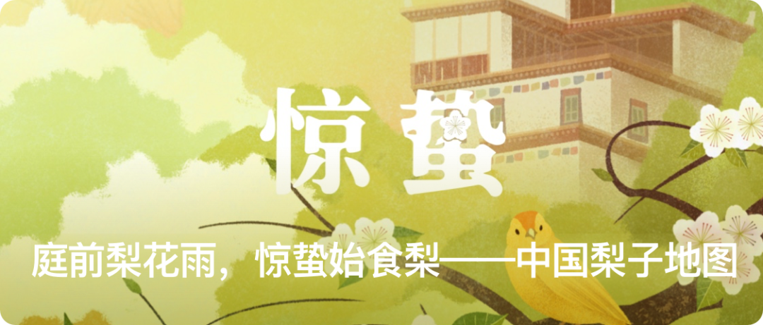 佳果不知何处寻？这份中国水果之乡清单请收好