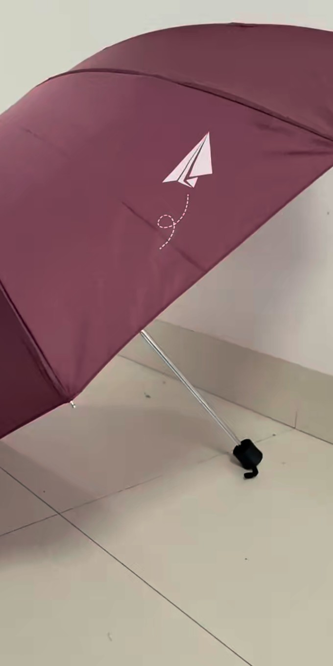 天堂伞雨伞雨具