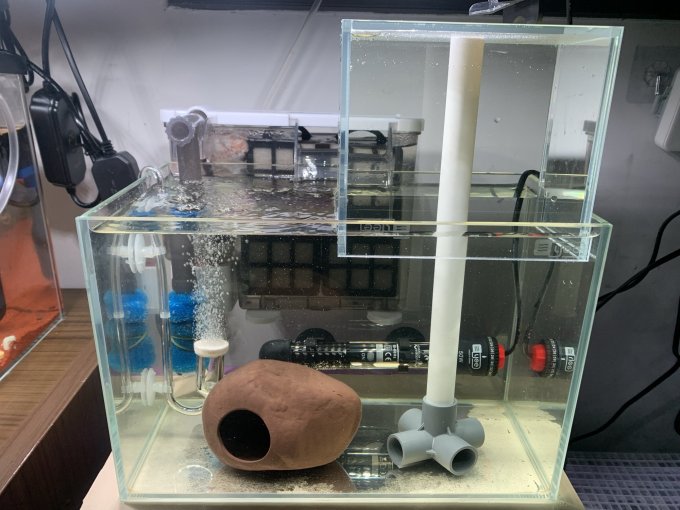 意牌鱼缸怎么样 小缸缸适合养斗鱼,在没有斗鱼前._什么值得买