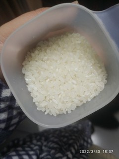 第一次吃盘锦大米，口感还行