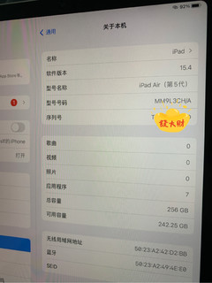 买个ipad洗楼输台账