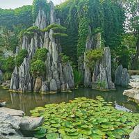 攸声旅游 篇四十八：苏州四大园林各具特色，究竟该怎么玩？
