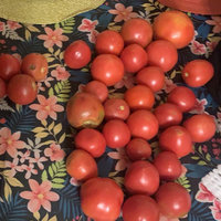 沙瓤西红柿8.9五斤反馈