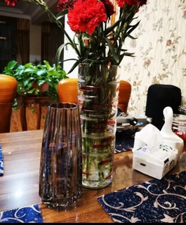 鹏创 欧式创意竖棱玻璃花瓶透明水养鲜花