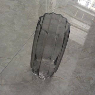 鹏创 欧式创意竖棱玻璃花瓶透明水养鲜花