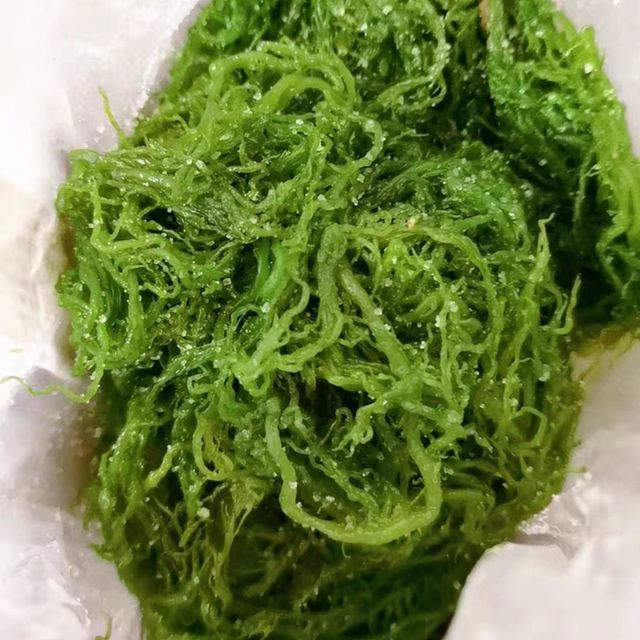 天然野生的龙须菜