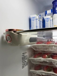 冰箱除味器