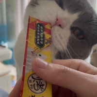 猫咪喜欢的零食