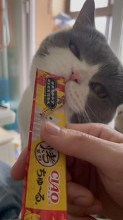 猫咪喜欢的零食