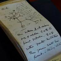 价值数百万英镑！达尔文笔记失窃21年后失而复得，名人手稿有多值钱？