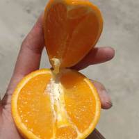 我给值友探个路，这个橙子值得买。伦晚春橙