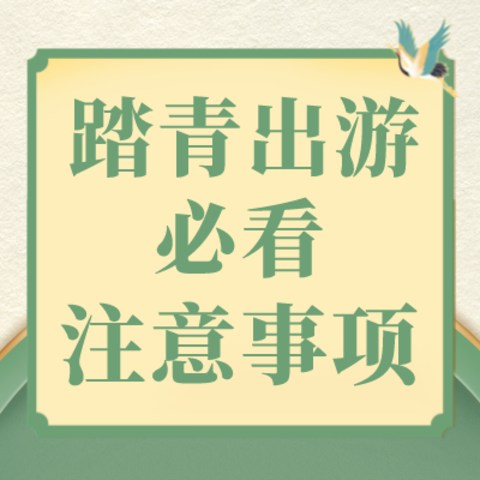 惊呆了老铁，原来踏青出游是快乐与隐患并存的！备好出游装备的同时这些事儿必须注意咯！