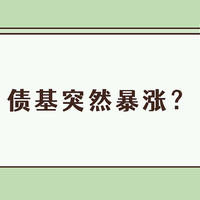 基金 篇二百六十一：鹏华弘润混合A属于什么行业？基金突然暴涨，但有清盘风险！