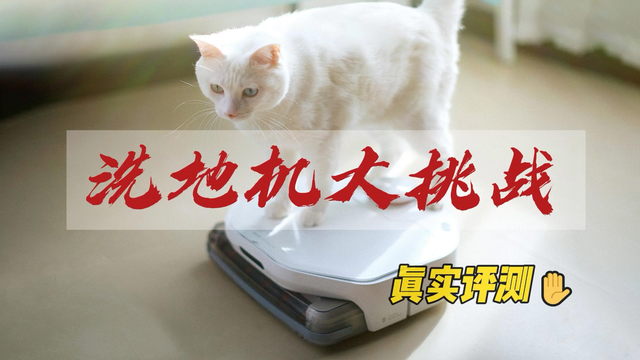 什么是干湿垃圾终结者？给不给力，你来说吧~