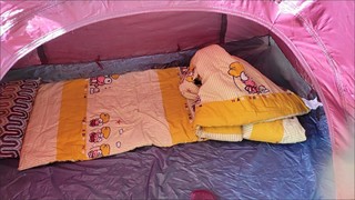 还是这个非常好用的帐篷。