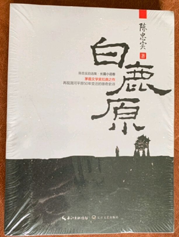 长江文艺出版社文化艺术