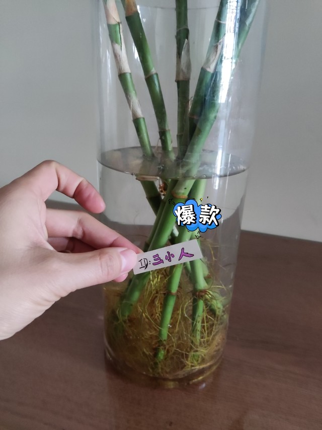 大爱的花瓶