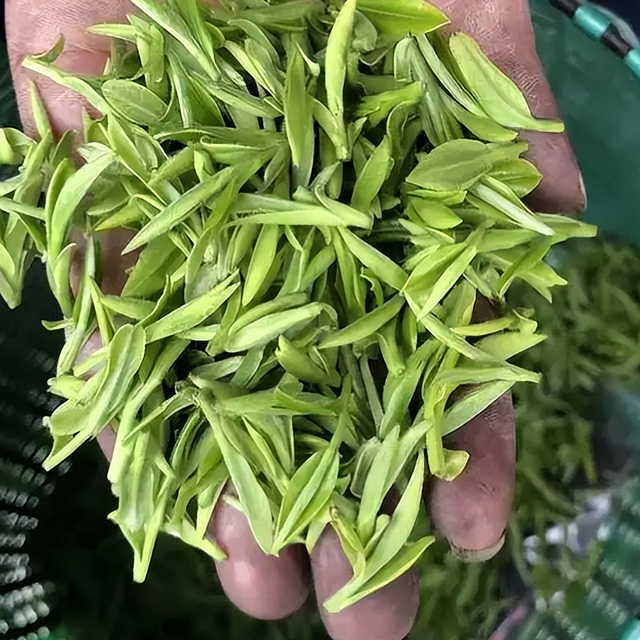 中国顶级春茶排行榜？你家乡的茶上榜了吗？看看你都喝过哪些？