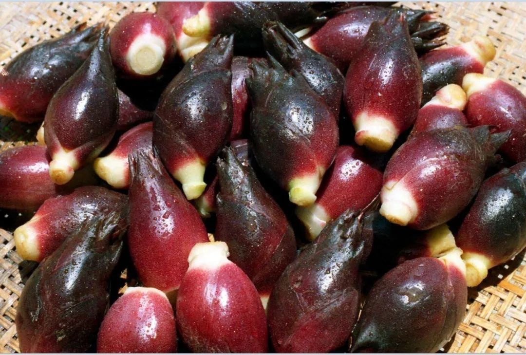 我们在疯狂赏花云南人在拼命吃花