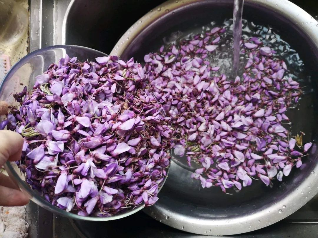 清洗紫藤花 ©图源网络