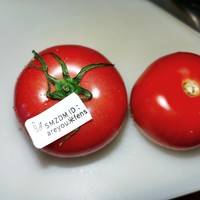 产地山东的这款西红柿番茄太让我意外了