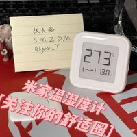 59元的米家温湿度计，相比29块的值不值