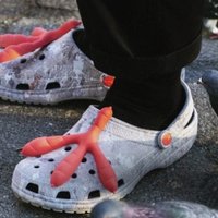 百爪挠心！Crocs x Staple洞洞鞋新款，鸽子、蟑螂、老鼠全来了！