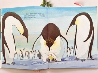 和孩子一起读《我的企鹅爸爸》