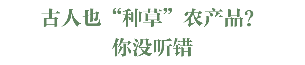 农产品区域公用品牌，堪称中国人的饮食指南