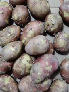 红皮大土豆新鲜10斤包邮云南特产黄心洋芋